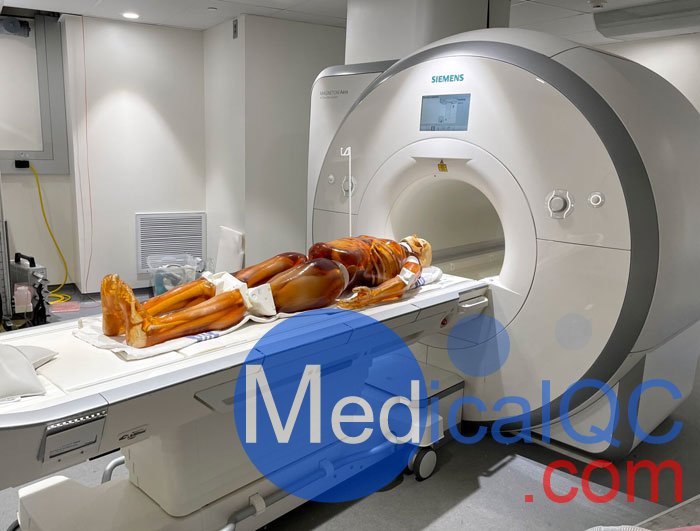 FB-A02成人全身模體,FB-A02全身CT模型，適用于X射線，CT,MRI