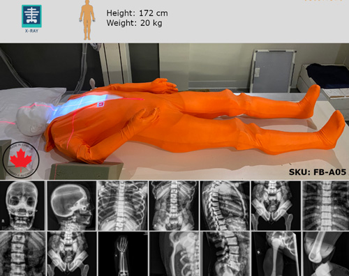 FB-A05 X射線(xiàn)定位和成像模型，F(xiàn)B-A05全身模體